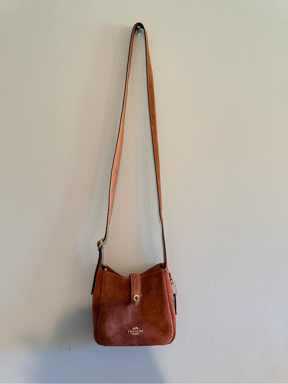 Coach Suede Hadley Small Crossbody Bag with Gold Hardware, Clay - Picture 3 of 8
